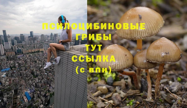 MDMA Чердынь
