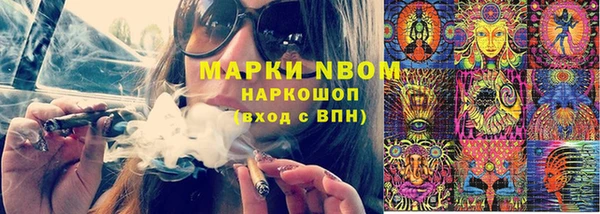 дмт Бородино