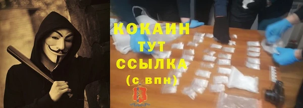 бошки Бронницы