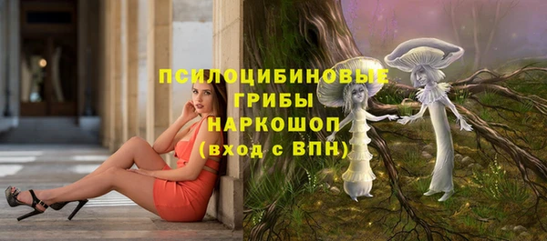 мдма Богданович